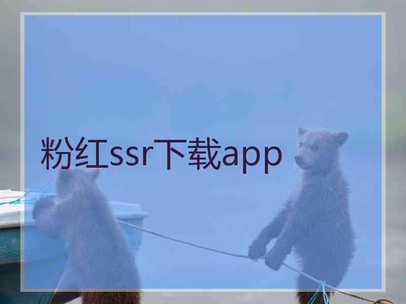 粉红ssr下载app