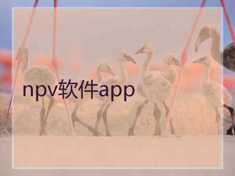 npv软件app