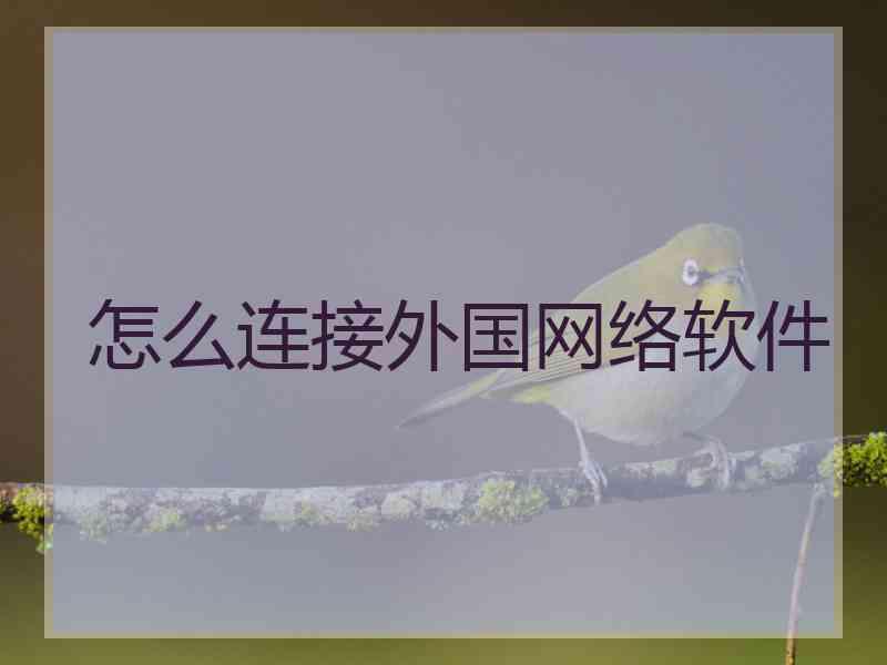 怎么连接外国网络软件
