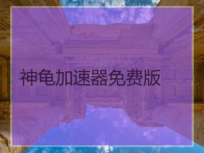 神龟加速器免费版