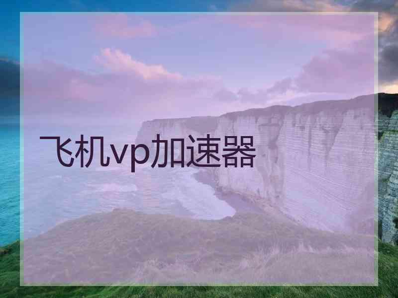 飞机vp加速器