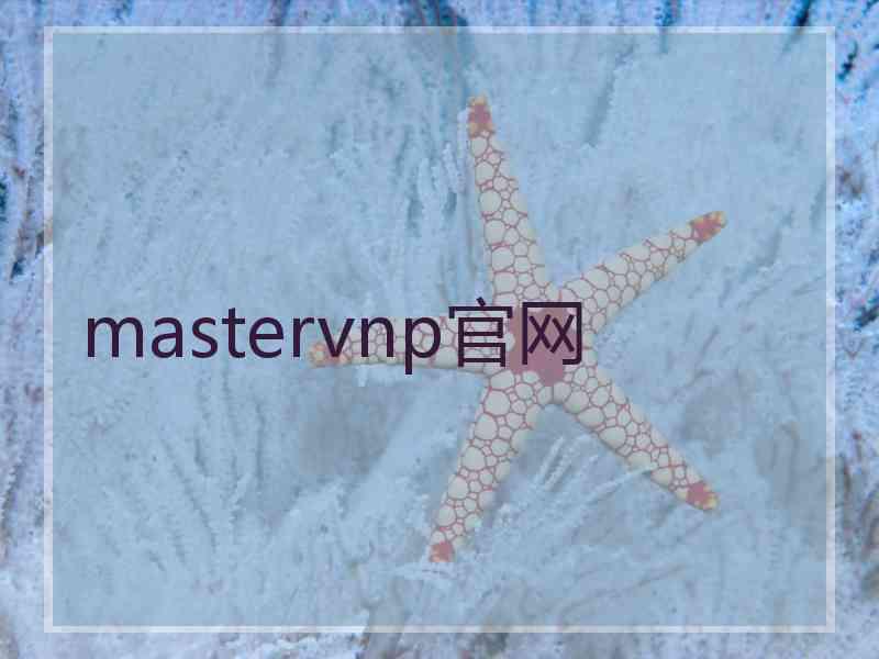 mastervnp官网