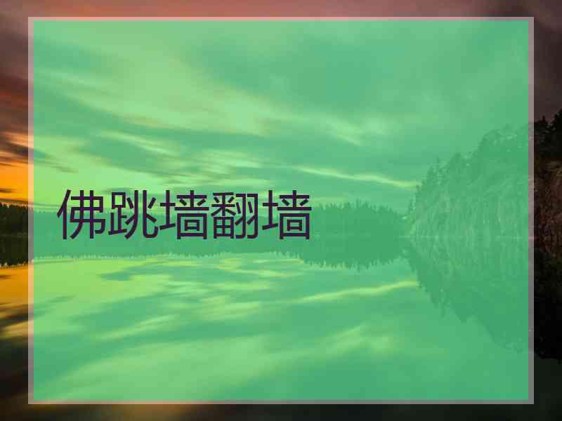 佛跳墙翻墙