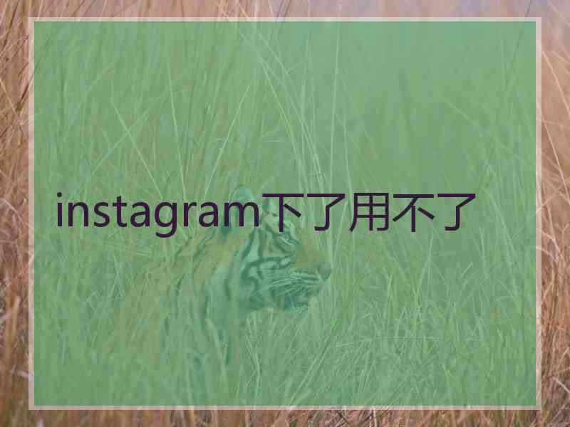 instagram下了用不了