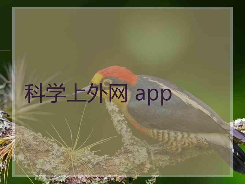 科学上外网 app
