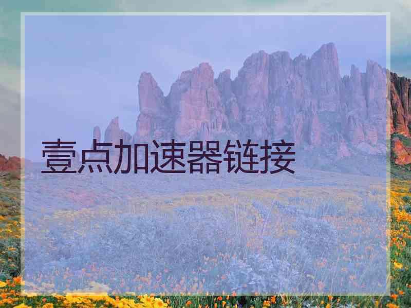 壹点加速器链接