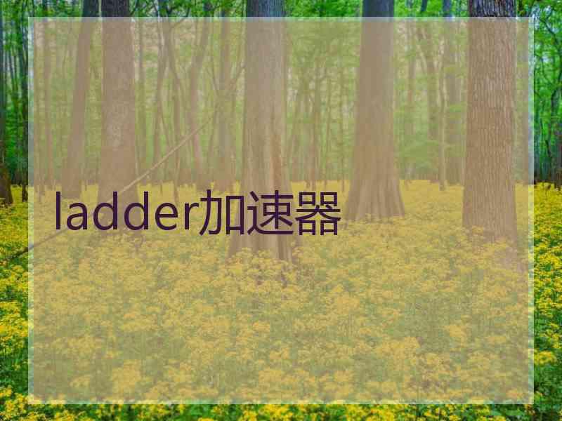 ladder加速器