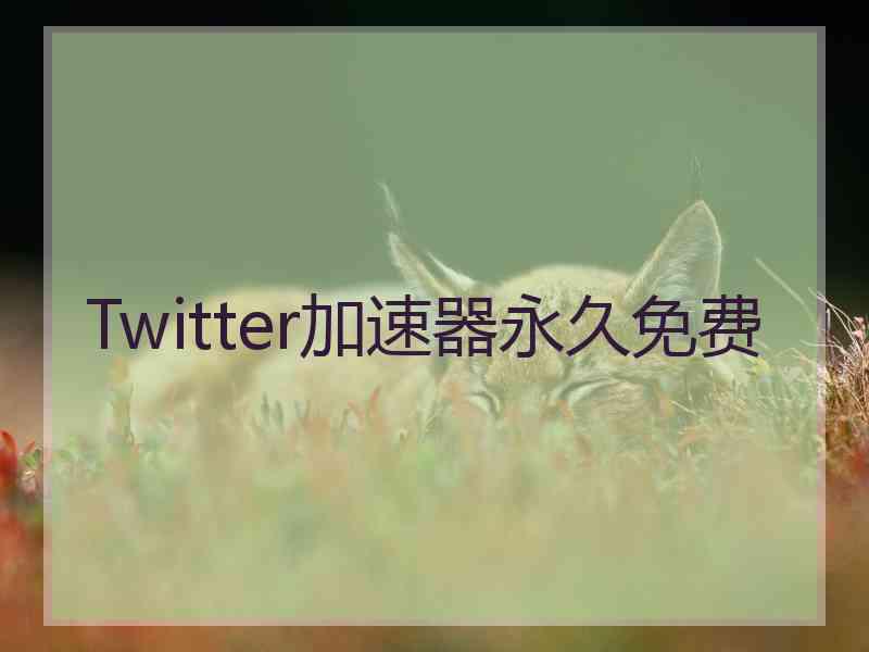 Twitter加速器永久免费
