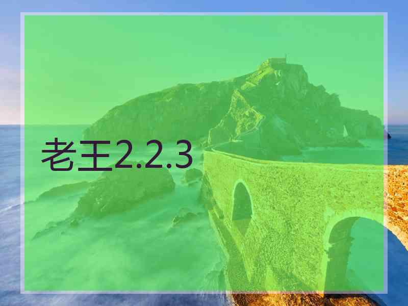老王2.2.3