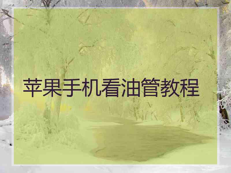 苹果手机看油管教程