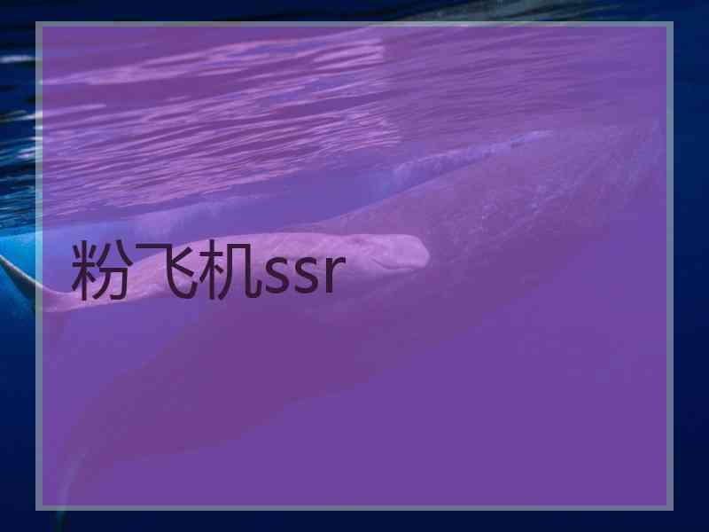 粉飞机ssr