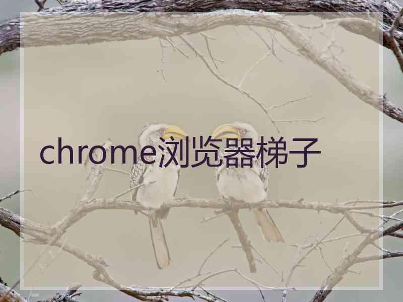 chrome浏览器梯子