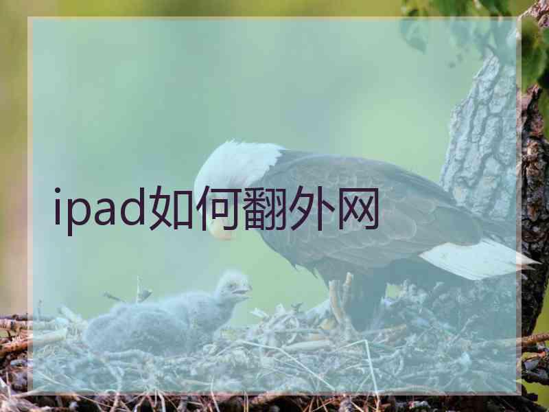 ipad如何翻外网