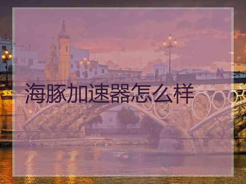 海豚加速器怎么样