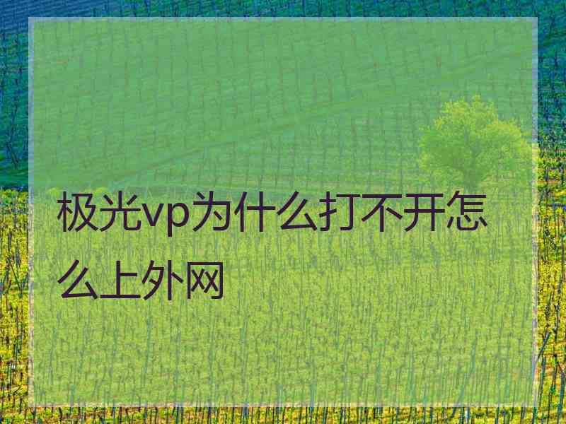 极光vp为什么打不开怎么上外网