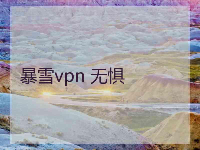 暴雪vpn 无惧