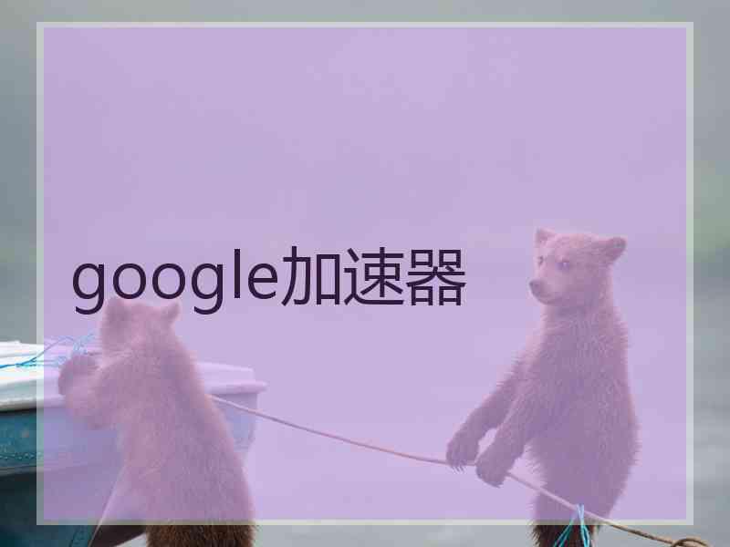 google加速器