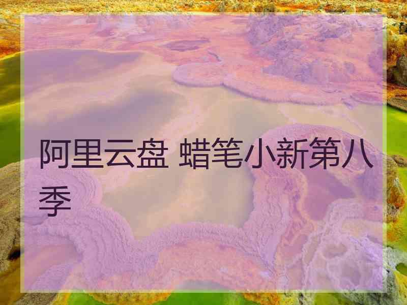 阿里云盘 蜡笔小新第八季
