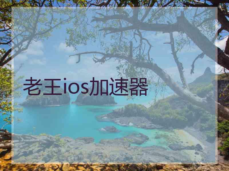 老王ios加速器