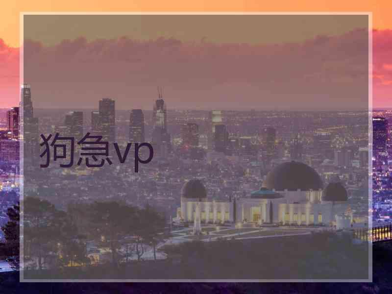 狗急vp