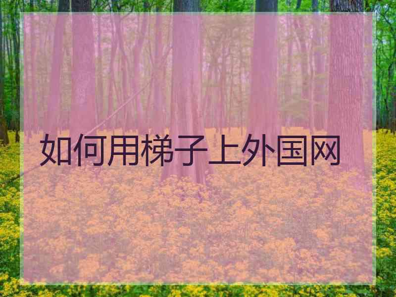 如何用梯子上外国网