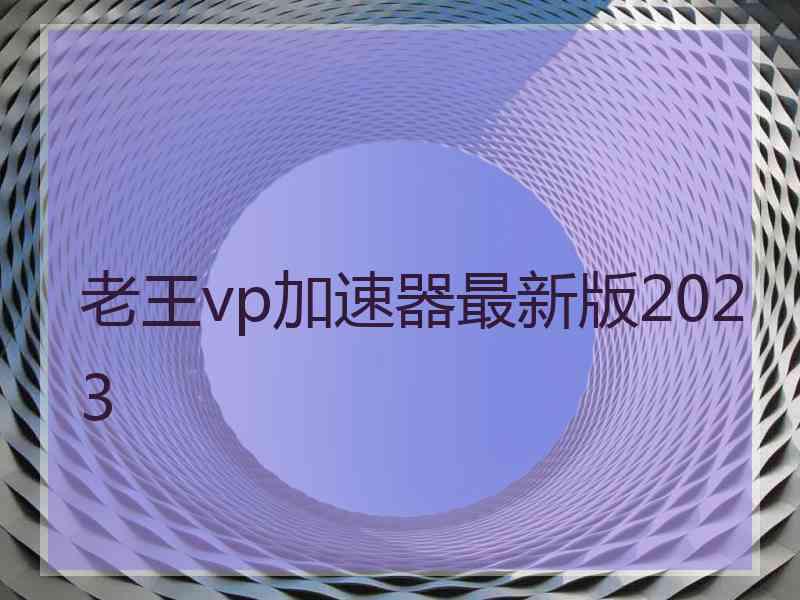 老王vp加速器最新版2023