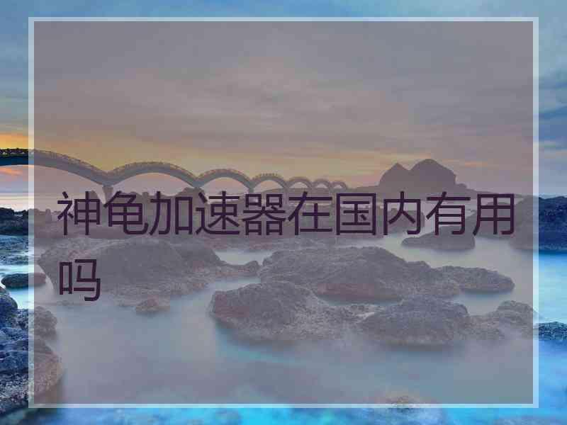 神龟加速器在国内有用吗