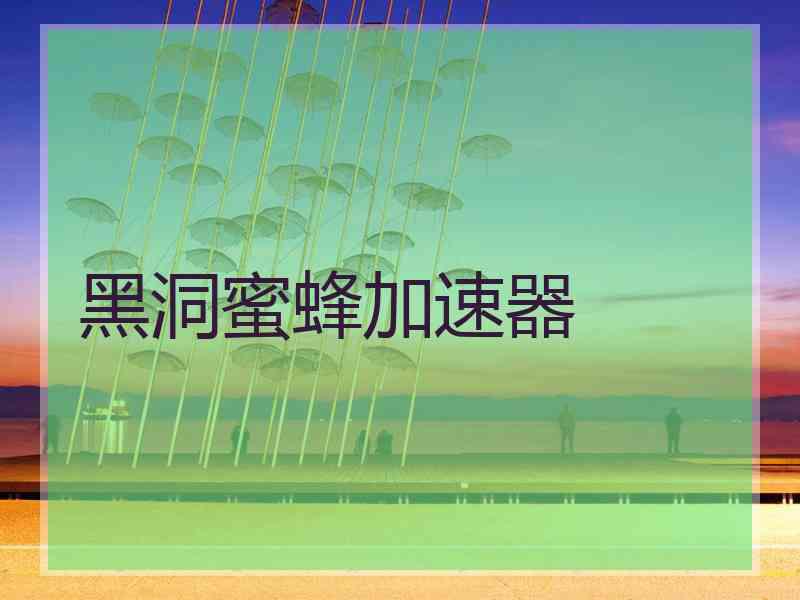 黑洞蜜蜂加速器