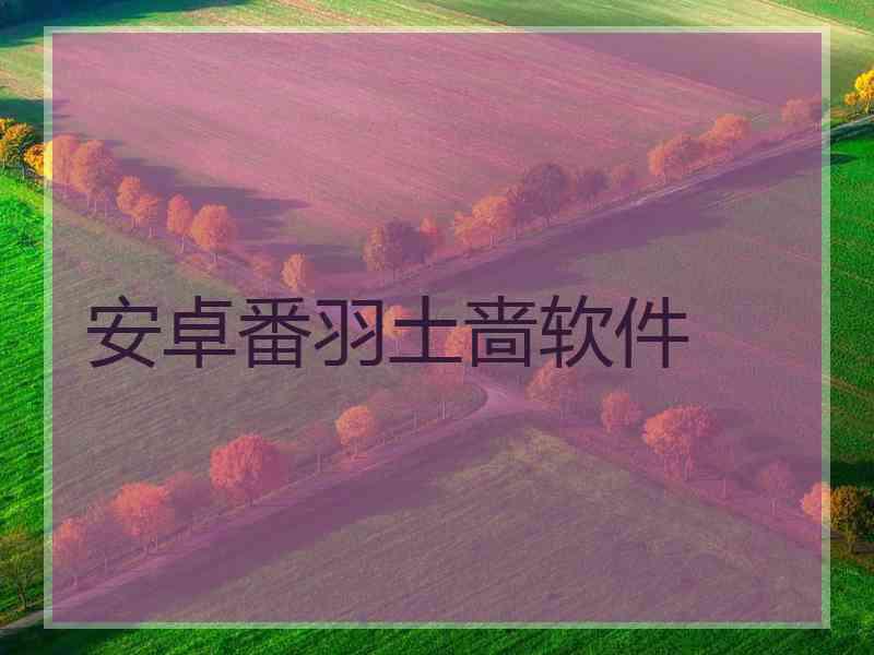 安卓番羽土啬软件