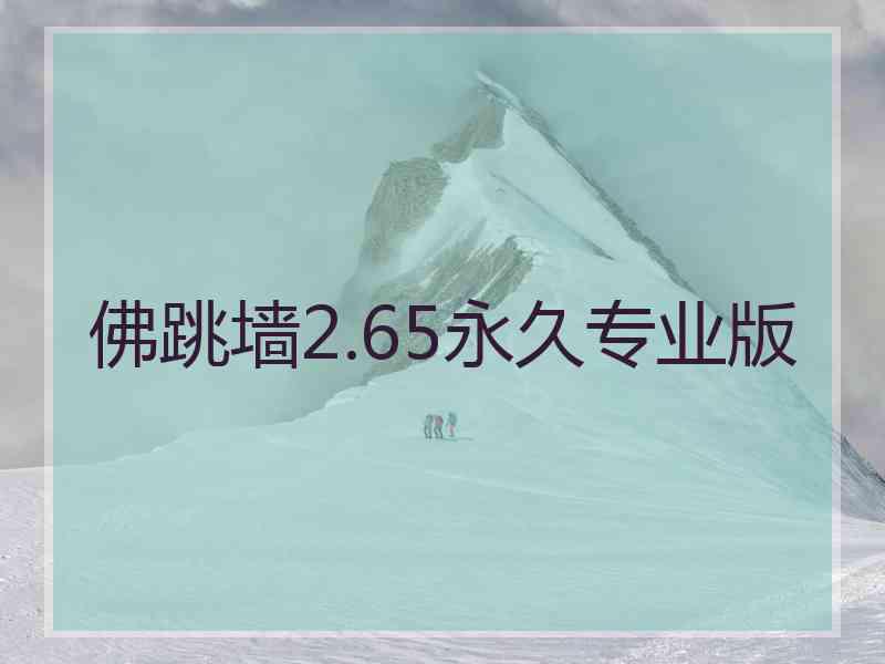 佛跳墙2.65永久专业版