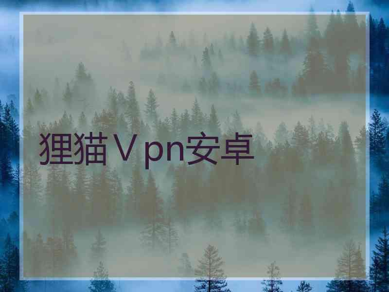 狸猫Ⅴpn安卓