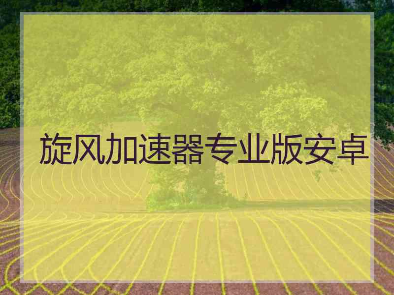 旋风加速器专业版安卓