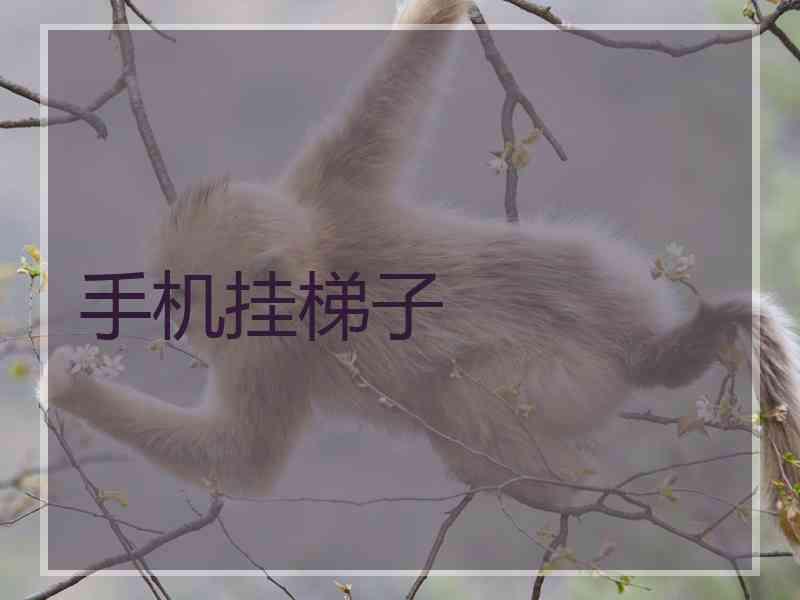 手机挂梯子