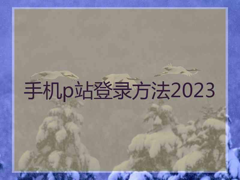 手机p站登录方法2023