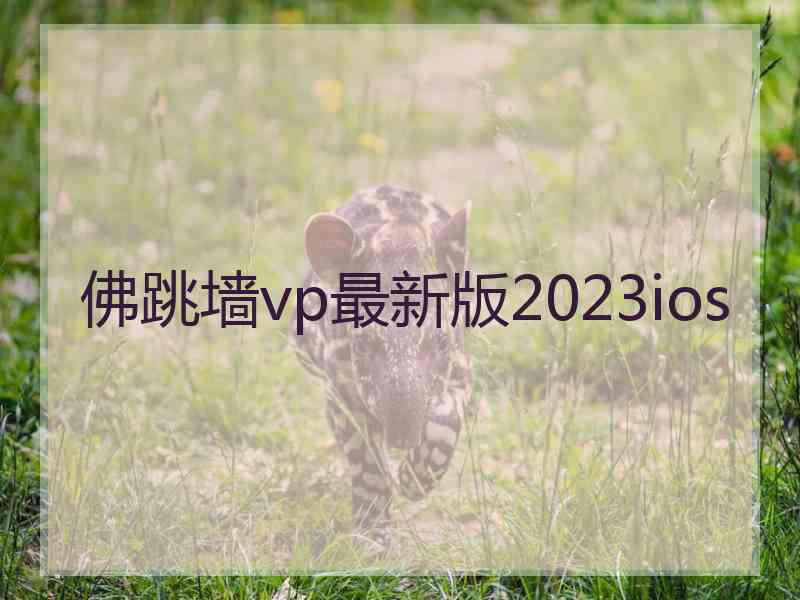 佛跳墙vp最新版2023ios