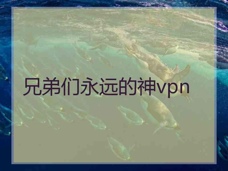 兄弟们永远的神vpn