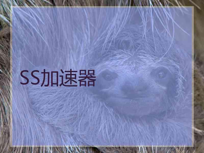 SS加速器