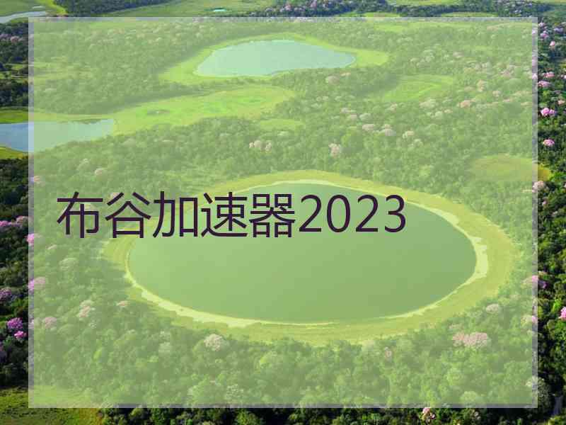 布谷加速器2023