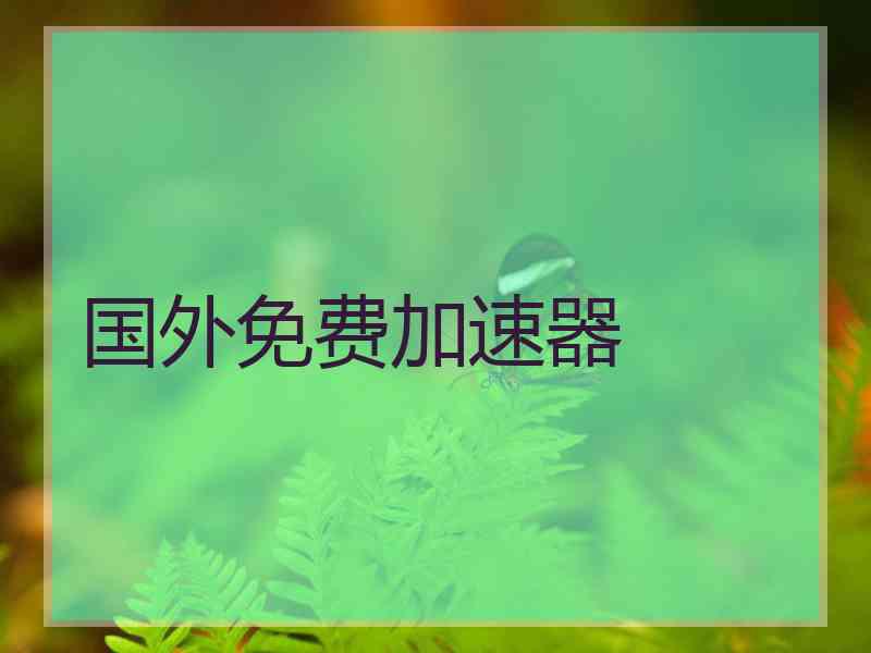 国外免费加速器