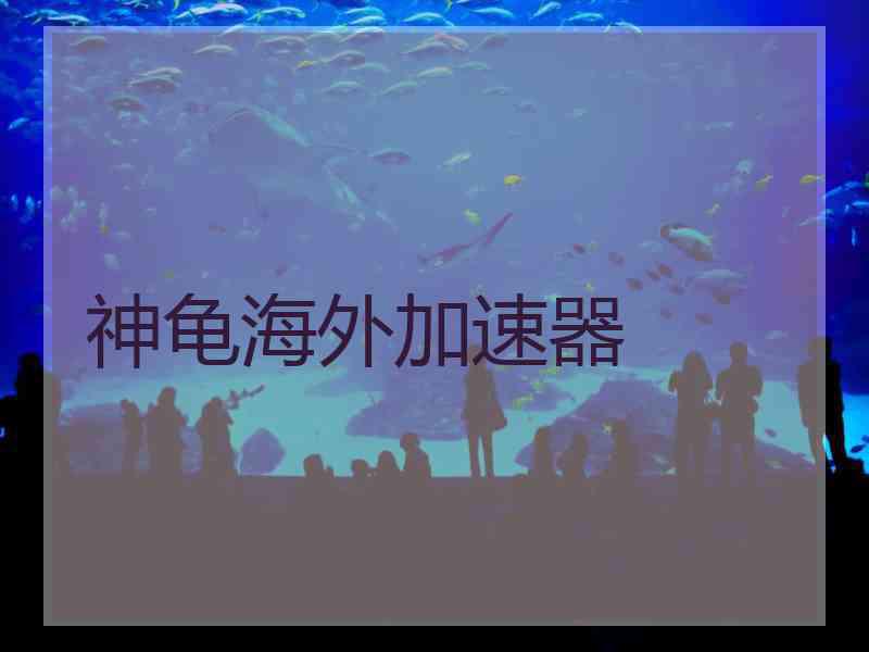 神龟海外加速器