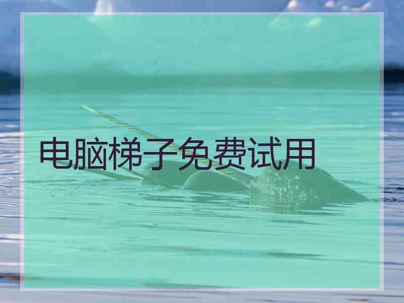 电脑梯子免费试用