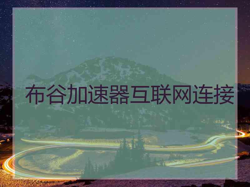 布谷加速器互联网连接