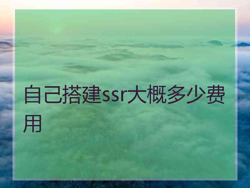 自己搭建ssr大概多少费用