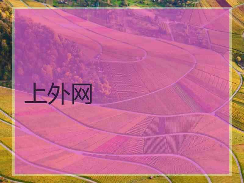 上外网