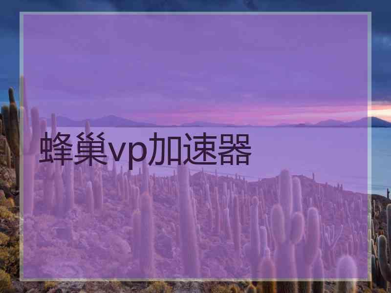 蜂巢vp加速器