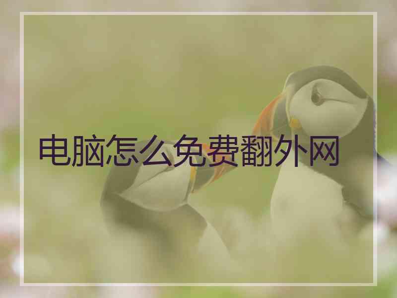 电脑怎么免费翻外网