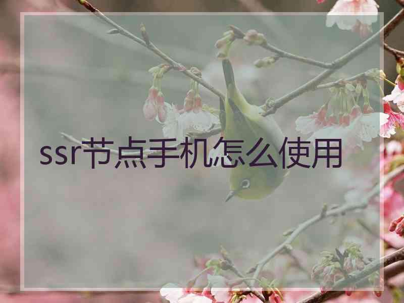 ssr节点手机怎么使用