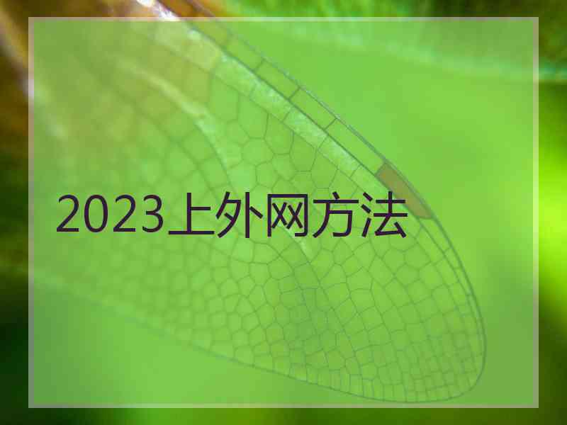 2023上外网方法