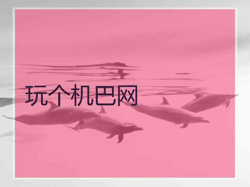 玩个机巴网