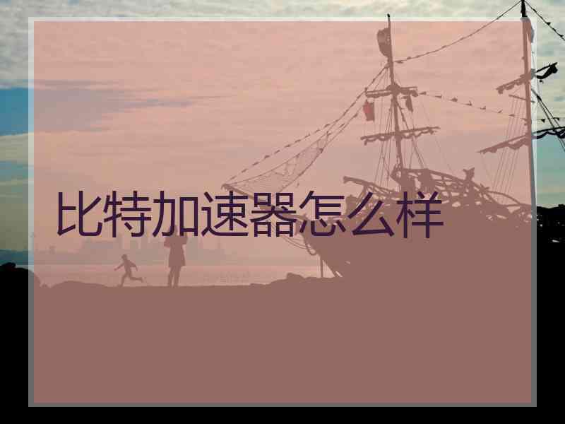 比特加速器怎么样